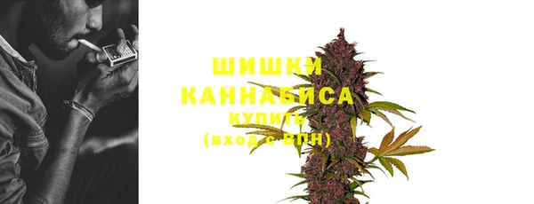 ПСИЛОЦИБИНОВЫЕ ГРИБЫ Новодвинск