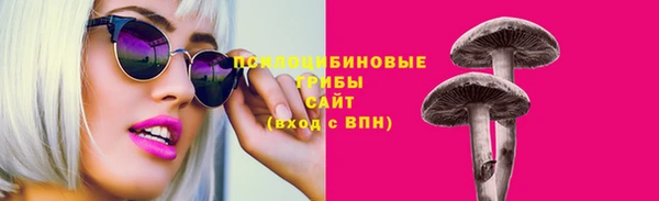 таблы Богданович