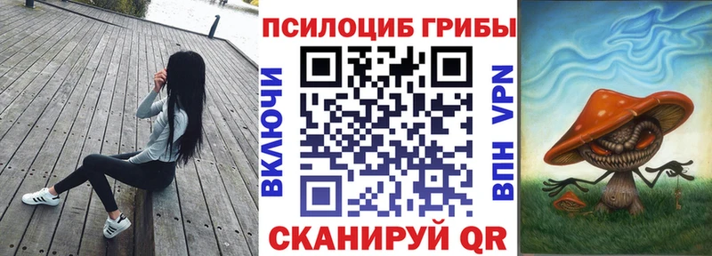KRAKEN сайт  Питкяранта  Псилоцибиновые грибы Magic Shrooms 